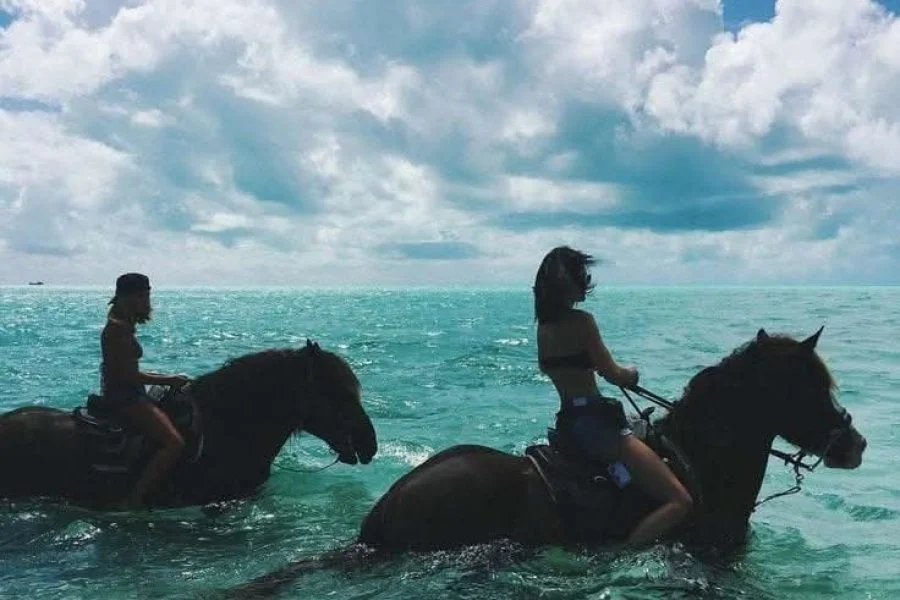  Riding 